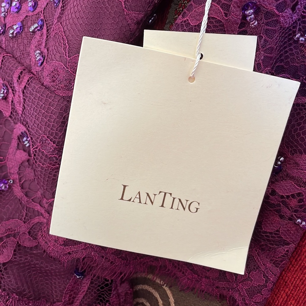MOB Dress. LanTing Bride. Sold as size 12; fits like an 8/10. Burgundy. - Picture 5 of 7
